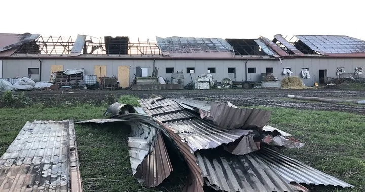 Pożar mieszkania w Sosnowcu. Prosimy o wsparcie
