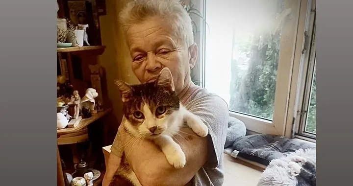 Pomoc dla Pani Joli i jej 14 kociaków