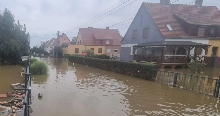 Dla rodziny Bernarda Tabian - Lewin Brzeski