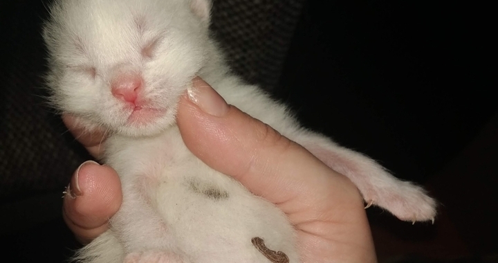 Zdjęcie osoby potrzbującej