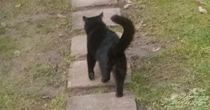 Zdjęcie osoby potrzbującej