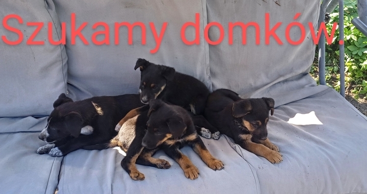 Zdjęcie osoby potrzbującej
