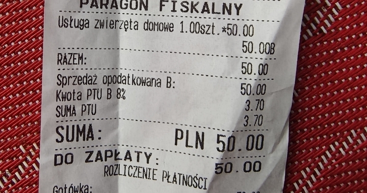 Zdjęcie osoby potrzbującej