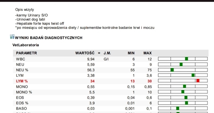 Zdjęcie osoby potrzbującej