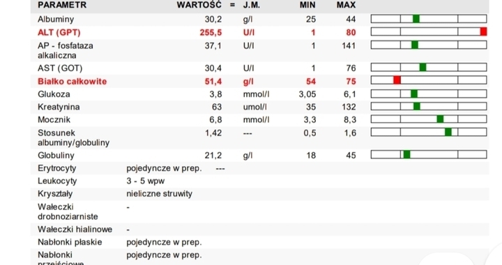 Zdjęcie osoby potrzbującej